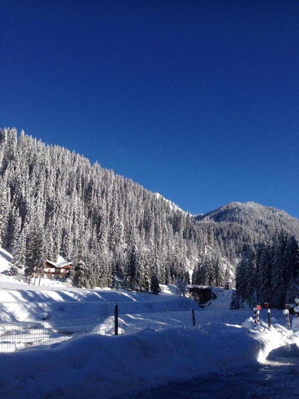 Bed and Breakfast Eirl Dolomites Retreat Sappada Exterior foto